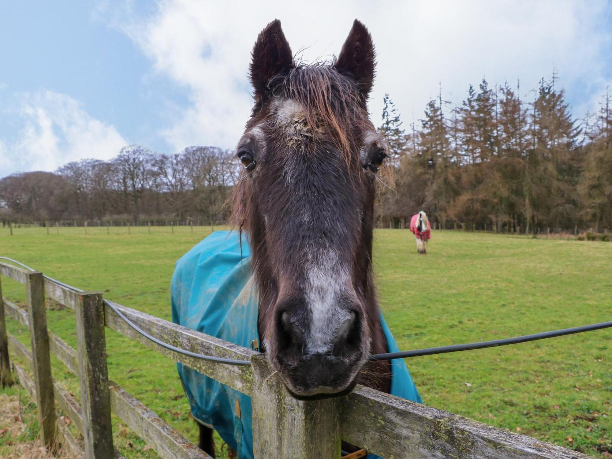 Willa The Barn Bishop Auckland Zewnętrze zdjęcie
